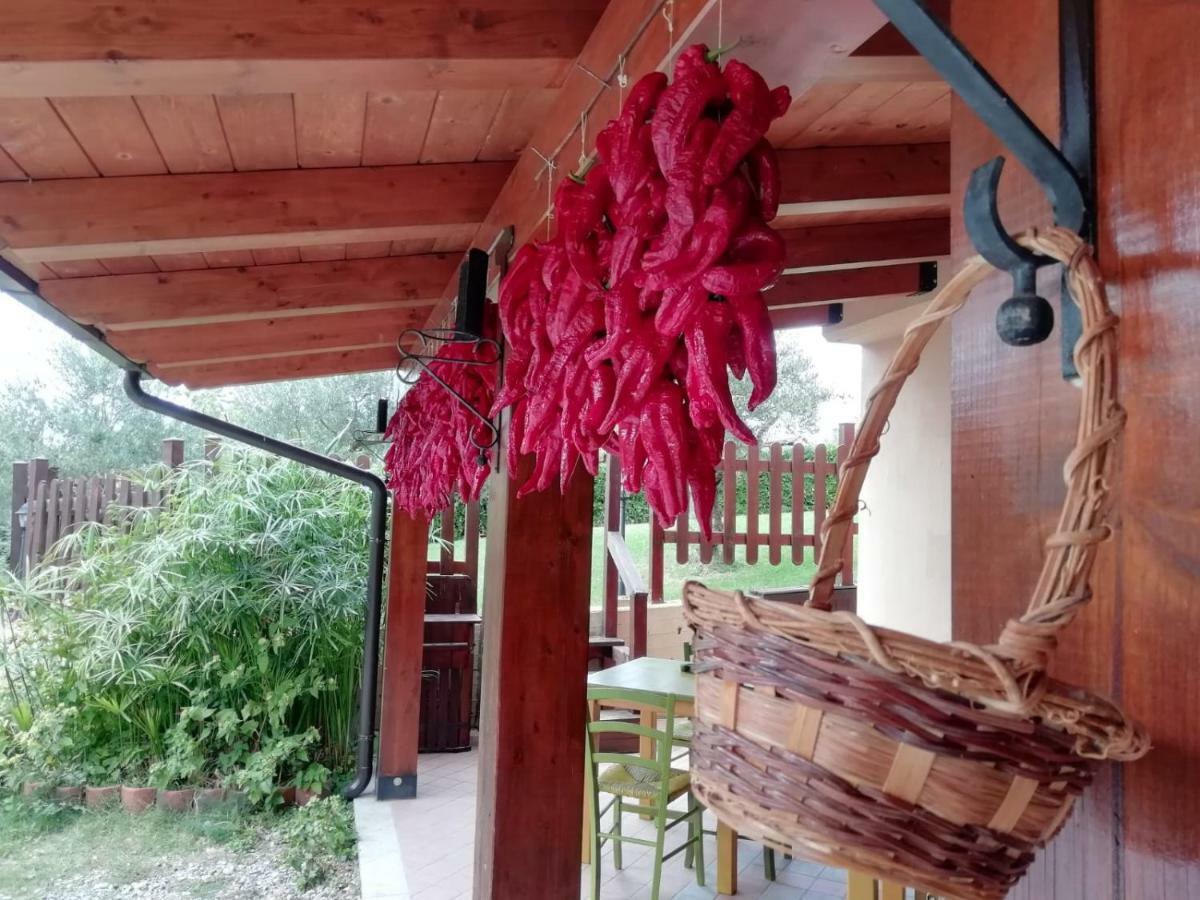 Le Chalet del Pollino Rotonda Extérieur photo