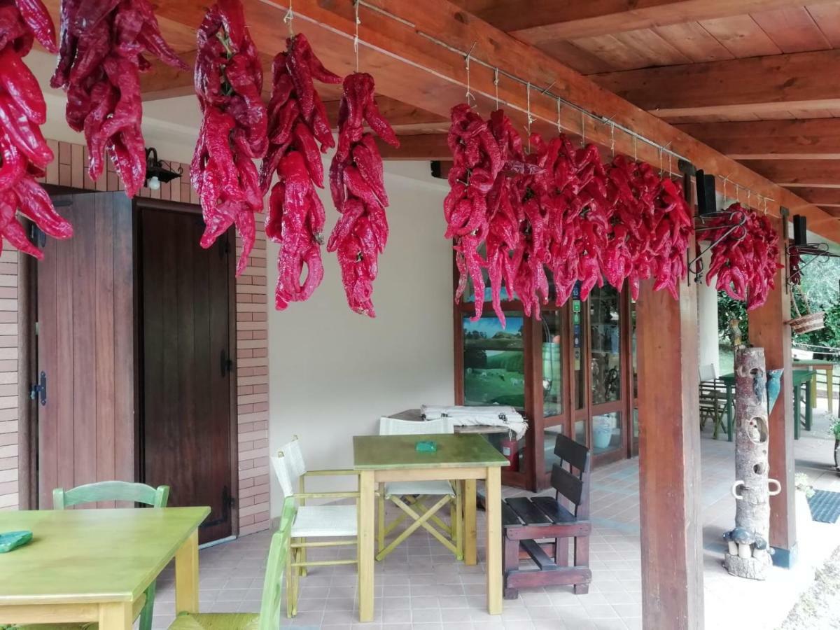 Le Chalet del Pollino Rotonda Extérieur photo